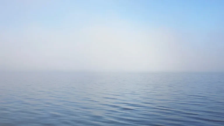 Calm blue ocean stretching to a soft horizon