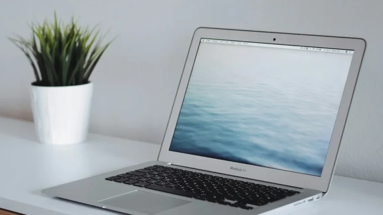 A laptop beside a potted plant on a bright, tidy desk