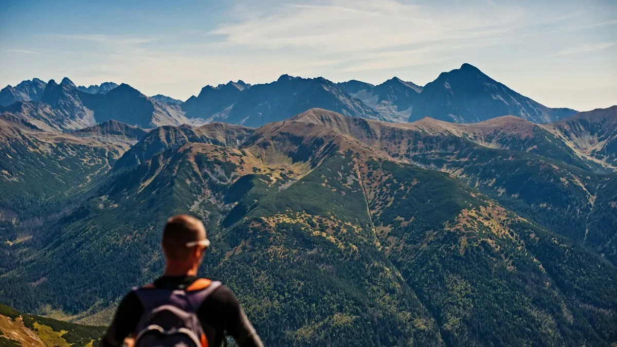 A man seen from behind looking out over a mountain range