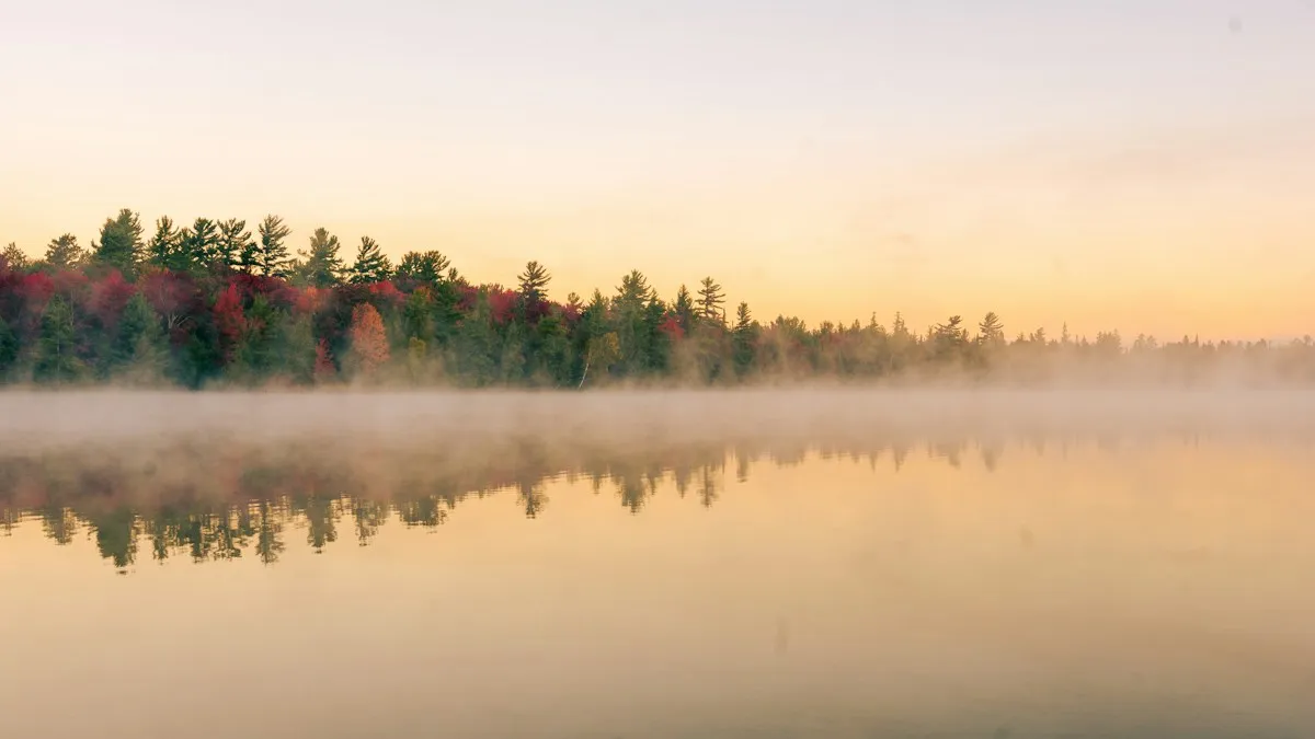 Mist rising over a calm lake at sunrise with trees along the shore